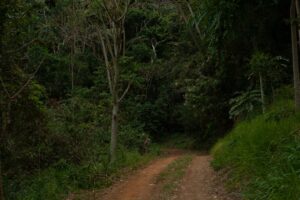 Oxigenoterapia Hiperbárica: Como Funciona Passo a Passo em Rondonópolis-MT?